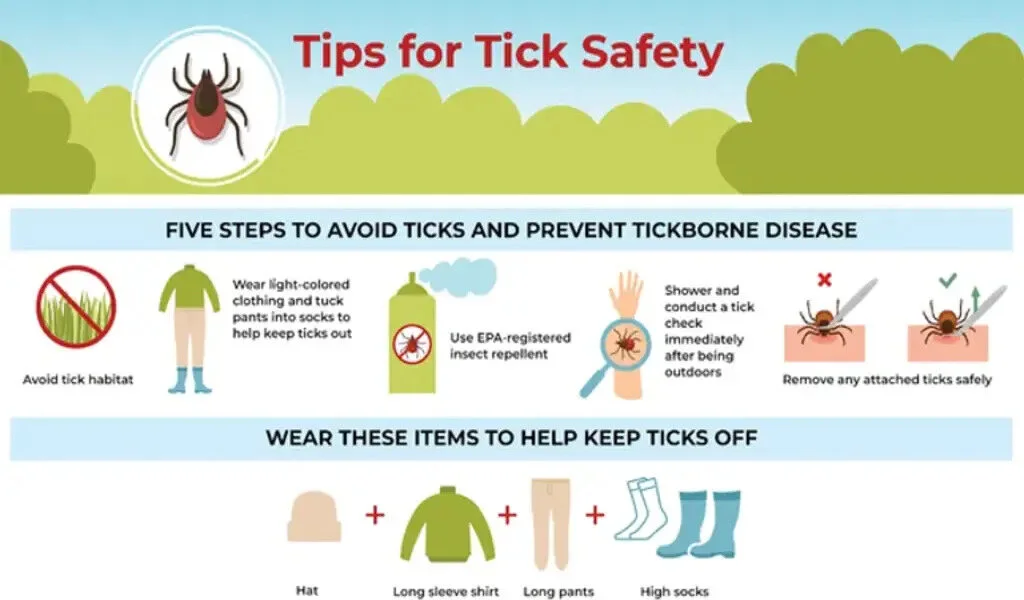 First Powassan Virus Death Reported In Maryland