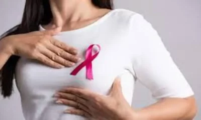 Breast Cancer Risk Can Be Influenced By Lifestyle Choices And Diet?