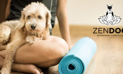 Zen Dog Vet