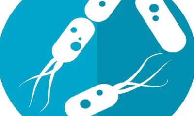 Colorectal Cancer Risk Could Be Predicted By Gut Microbiome Variation