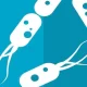 Colorectal Cancer Risk Could Be Predicted By Gut Microbiome Variation