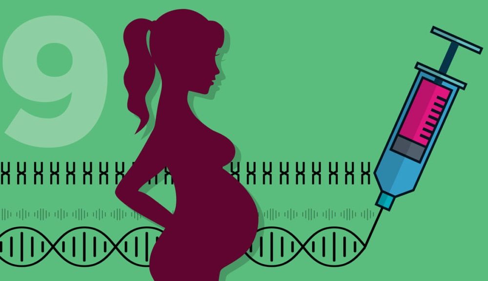 Prenatal Paternity Testing