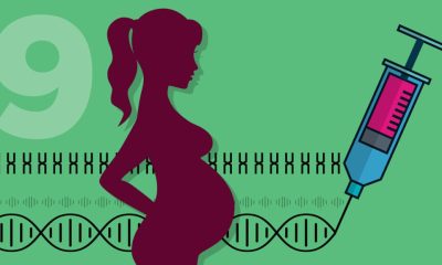 Prenatal Paternity Testing
