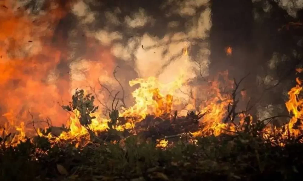 2023 Canadian Wildfires Impacted Air Quality as far Away as Europe and China
