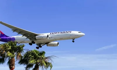 Hawaiian Airlines Flight To Hawaii From California Today Is $100
