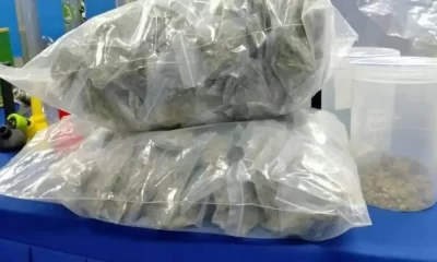Cannabis Shop Raid Found Ten Students, Including a 14-Year-old, Smoking Marijuana