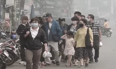 Exposure to Components of Air Pollution Increases the Risk of Cancer