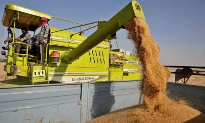 Pakistan Bans Wheat Imports from India, Israel, and Sanctioned Nations Amid Flour Price Surge
