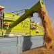 Pakistan Bans Wheat Imports from India, Israel, and Sanctioned Nations Amid Flour Price Surge