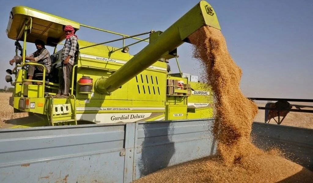 Pakistan Bans Wheat Imports from India, Israel, and Sanctioned Nations Amid Flour Price Surge