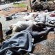 Innocent Masalit Are Being Slaughtered, But With No Jews to Blame, The Left is Silent