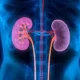With An Inexpensive Pill, Kidney Disease-Related Deaths Could Be Reduced