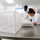 Mosquitoes That Carry Malaria Can Be Controlled By Adding Soap