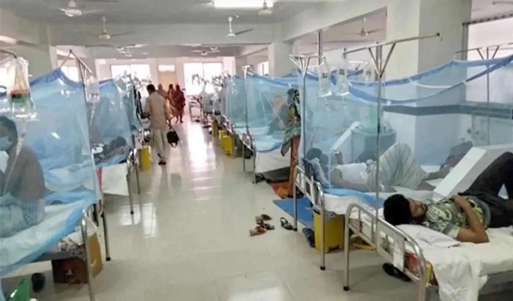 Dengue Kills 11 People a Day In Bangladesh: 1,333 Cases