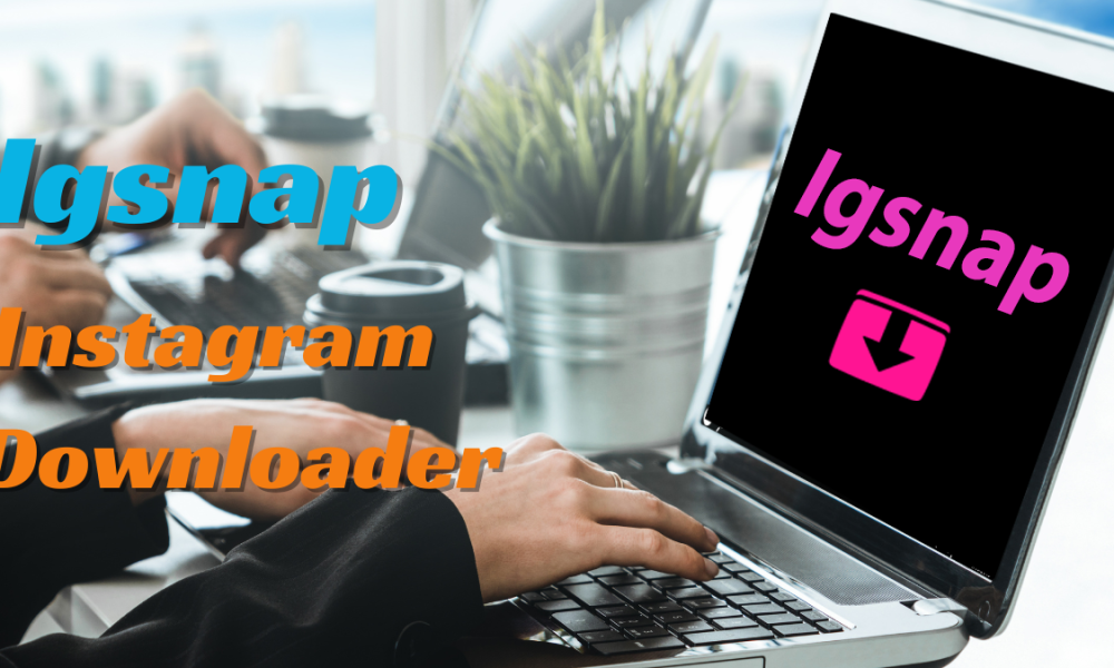 Navigating the Digital Landscape: Igsnap as a Pioneering Tool in Instagram Content Management