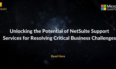 NetSuite Support Services