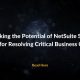 NetSuite Support Services