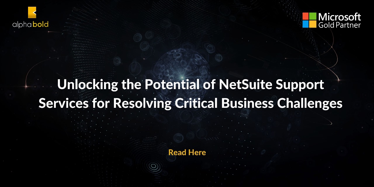 NetSuite Support Services