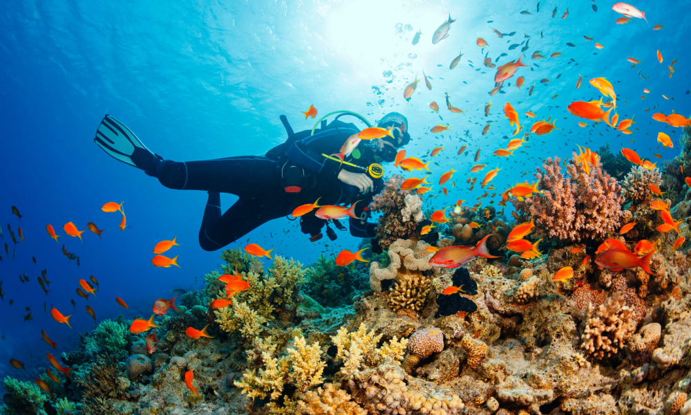 Beneath Bali's Surface: A Scuba Diving Odyssey