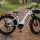 E-Bikes