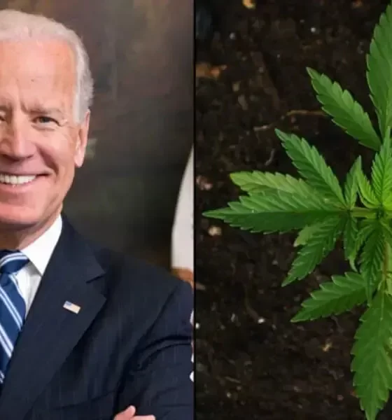 Biden Pardons 11 Nonviolent Drug Offenders, Freeing Them From Prison.