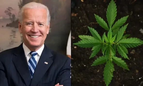 Biden Pardons 11 Nonviolent Drug Offenders, Freeing Them From Prison.