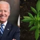 Biden Pardons 11 Nonviolent Drug Offenders, Freeing Them From Prison.