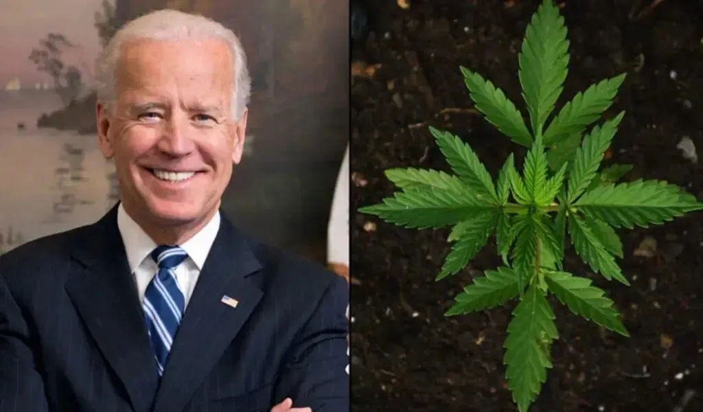 Biden Pardons 11 Nonviolent Drug Offenders, Freeing Them From Prison.