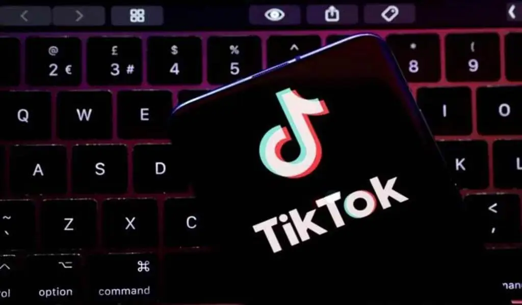 Meta And TikTok Will Be Requesting More Material Removals From Malaysia In 2023.