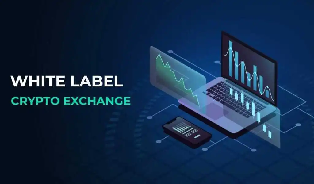 Choosing the Best White Label Crypto Solutions