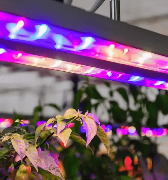 LED grow lights