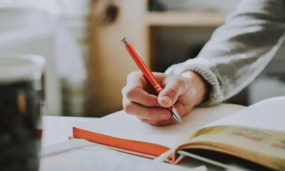 Essay Alchemy: How to Blend Science and Writing Brilliance