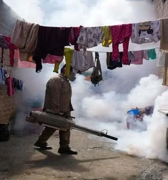 Dengue Cases Have Surged Tenfold Recently, Says UN Health Agency.