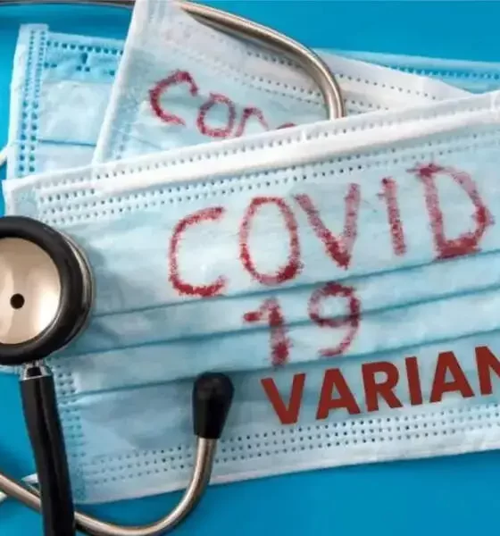 Surge In Covid JN 1 Variant Cases Sparks Panic; Monitor Symptoms.