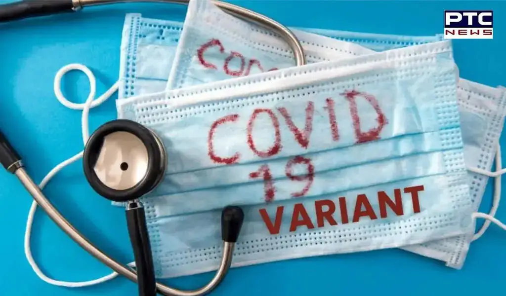 Surge In Covid JN 1 Variant Cases Sparks Panic; Monitor Symptoms.