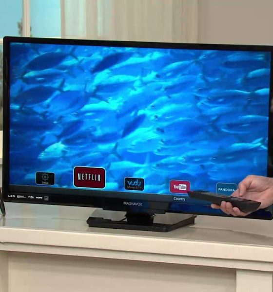 Magnavox TV