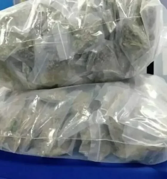 Police Officials Seize 492 Kgs Cannabis in India's Sri Sathyasai district