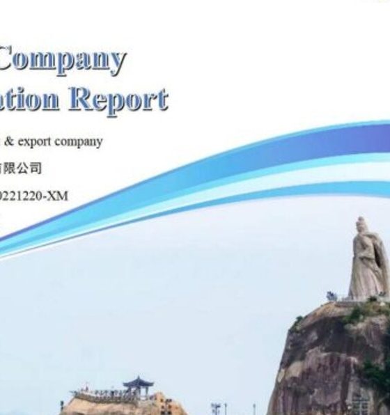Verify China Company Service