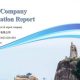 Verify China Company Service