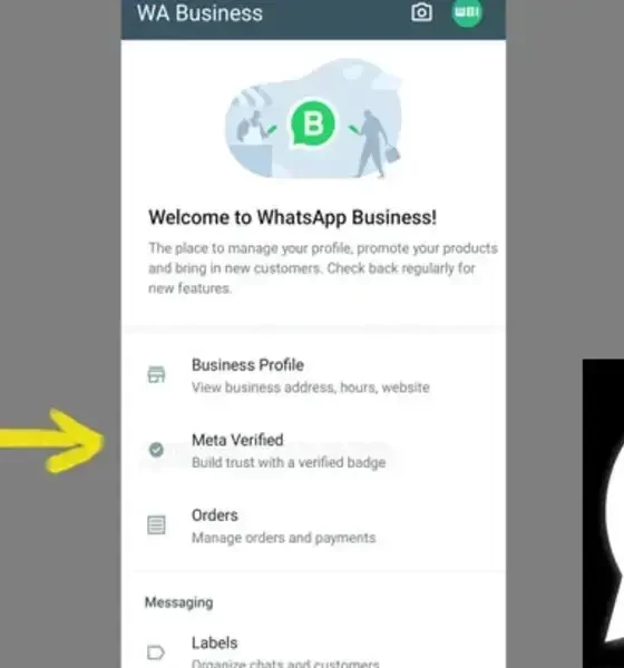 WhatsApp Will Allow Business Account Holders To Subscribe To Meta Verified