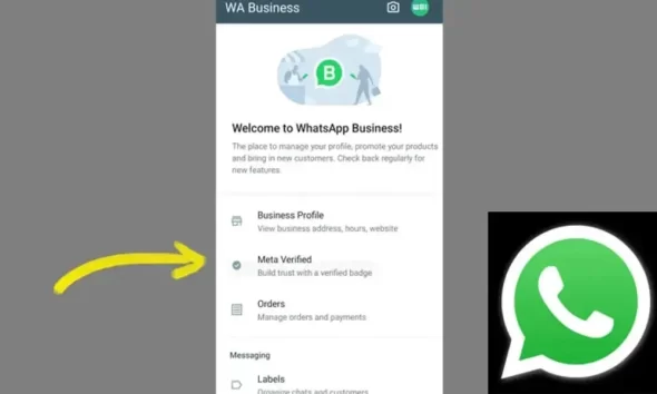 WhatsApp Will Allow Business Account Holders To Subscribe To Meta Verified