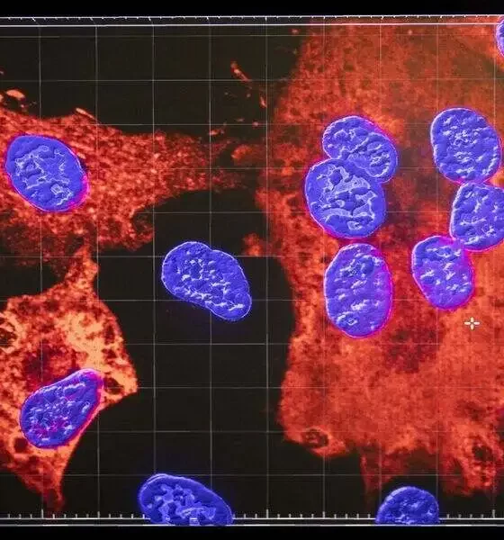 What is Disease X? World Economic Forum To Discuss Health Threat