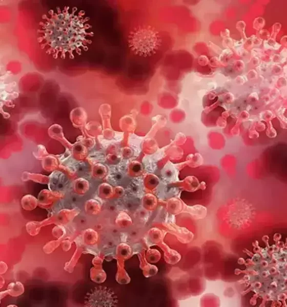 China Tests a Deadly Virus. Experts Say Madness Must Stop.