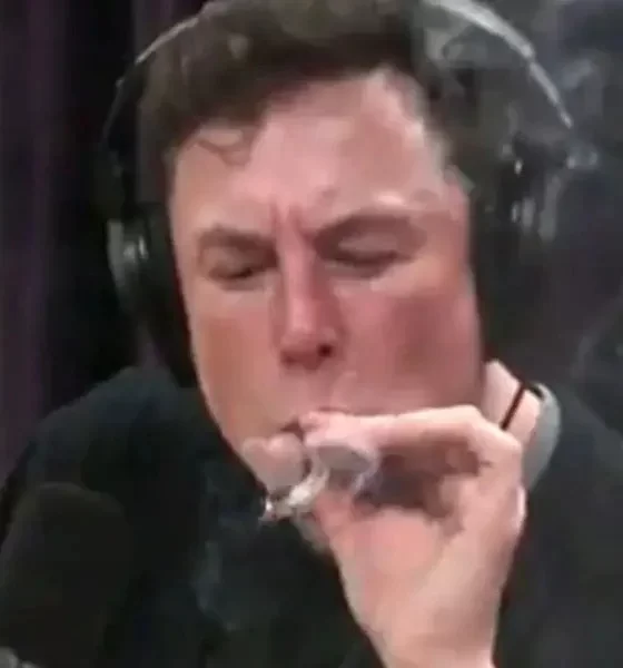 Elon Musk's Alleged Drug Use Raises Concerns About Tesla, SpaceX