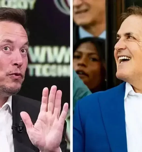 Elon Musk Bite Shark Tank's Mark Cuban's Head Off - But Why?