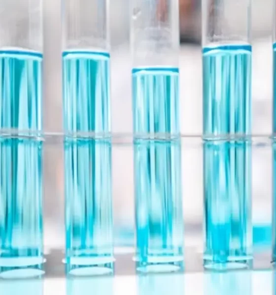 Accelerating Discoveries: The Critical Role of Cell Culture Expansion in Research