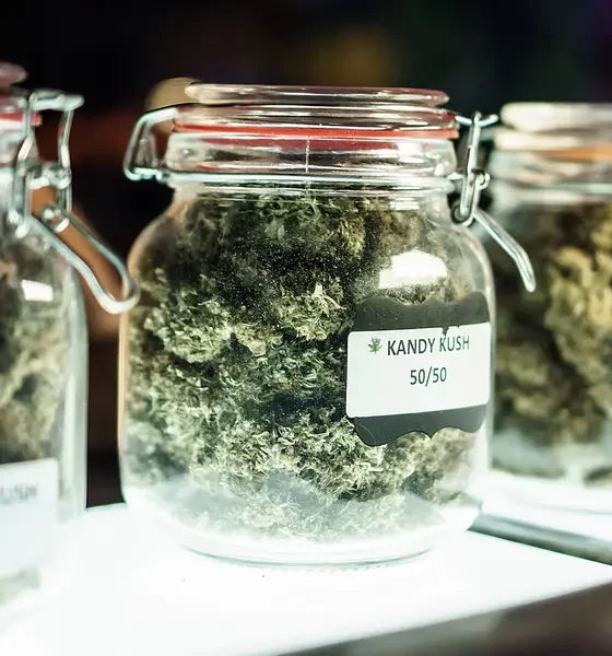 Cannabis Culture: Proper Etiquette When Visiting Your First Dispensary