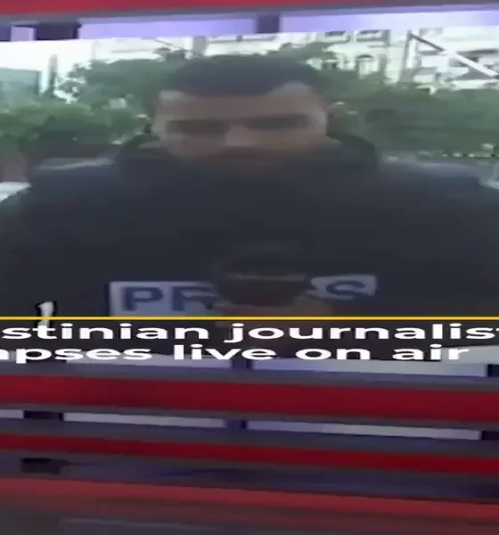 Gaza TV Journalist Collapses While He is Live on Air