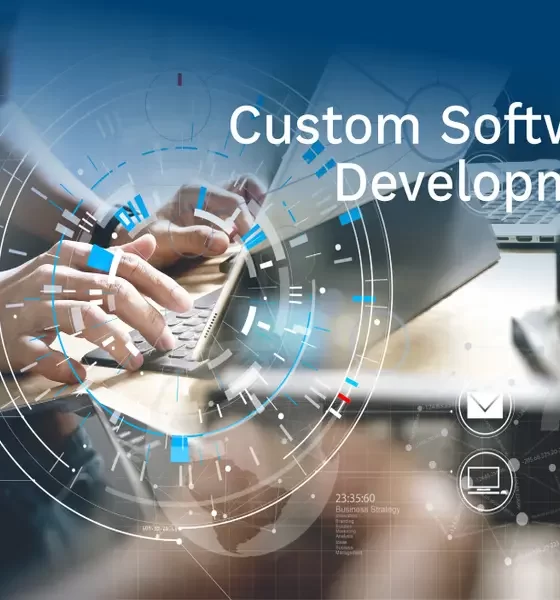 Services Offered by Custom Software Development Companies