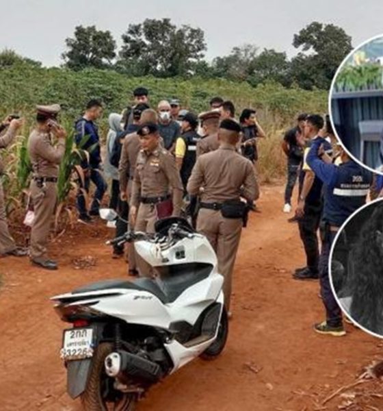Swiss Man Arrested for Strangling His Wife to Death